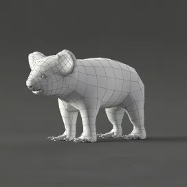 Koala
